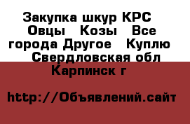 Закупка шкур КРС , Овцы , Козы - Все города Другое » Куплю   . Свердловская обл.,Карпинск г.